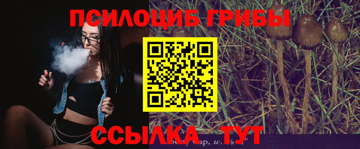 Нерюнгри  Псилоцибиновые грибы GOLDEN TEACHER  Вход с VPN 